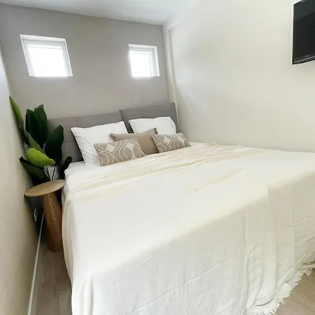 Cozy room near Tilburg University&Stadsbos *