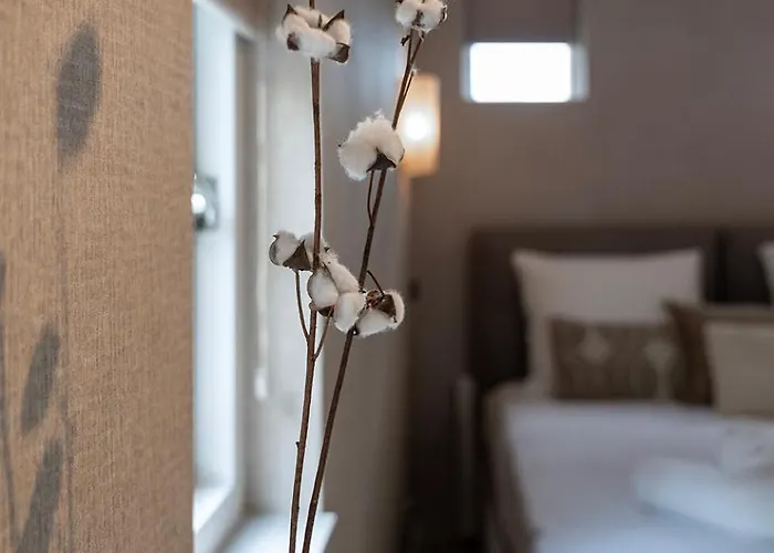 Cozy Stay Near Tilburg University Walk To Cafes * Tilburgo