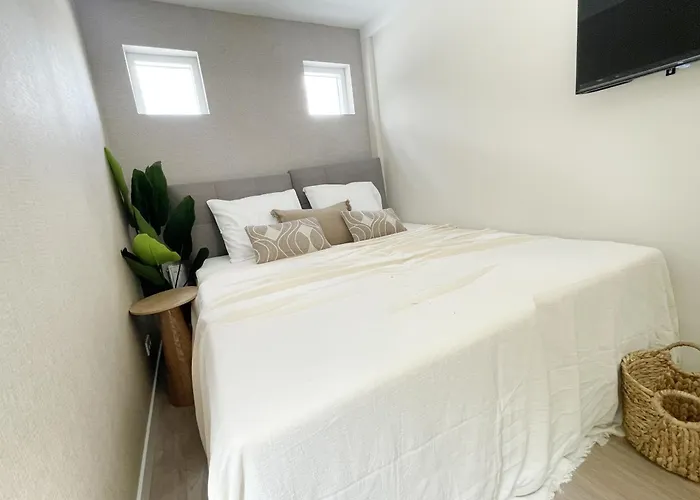 Cozy room near Tilburg University&Stadsbos *
