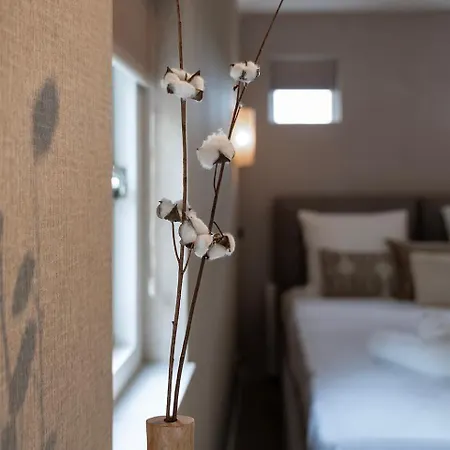 Budget Near With Wifi * تيلبورغ